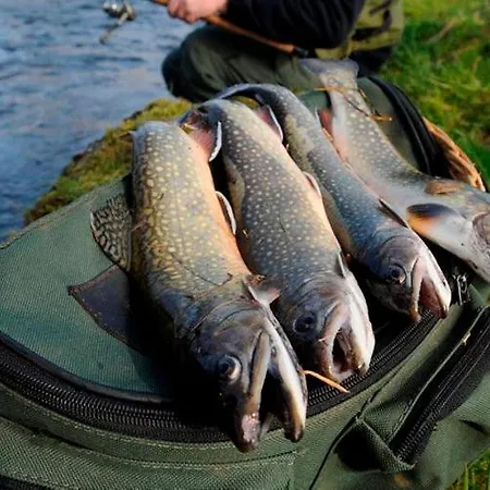 Independant 2 Pers - Sur Colmont La Petite Gare Дом отдыха *