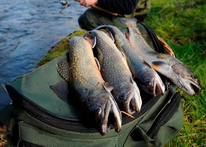 Independant 2 Pers - Sur Colmont La Petite Gare Ferienhaus *